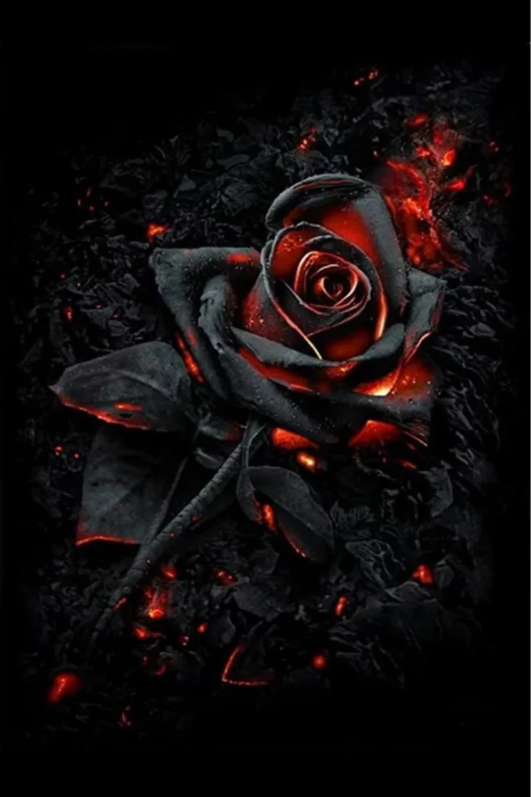 061-007-schwarzerose